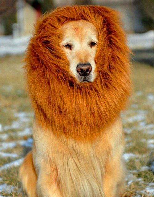 Load image into Gallery viewer, Lion Mane Wig for Large Dogs
