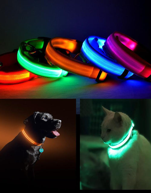 Load image into Gallery viewer, Color: BLUE,Size: LARGE - LED PET Safety Halo Style Collar
