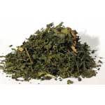 Nettle "Stinging" Leaf cut 1oz  (Urtica dioica)
