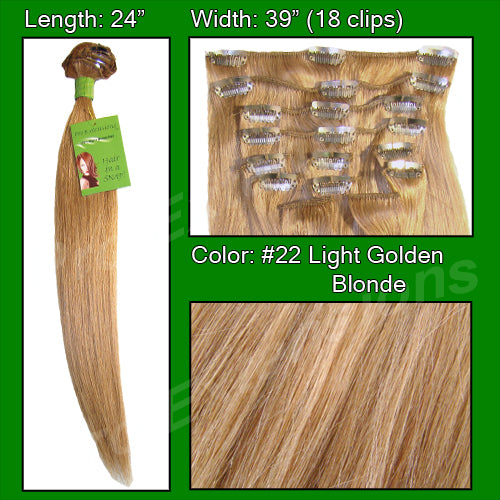 Load image into Gallery viewer, #22 Golden Blonde - 24 inch Remy
