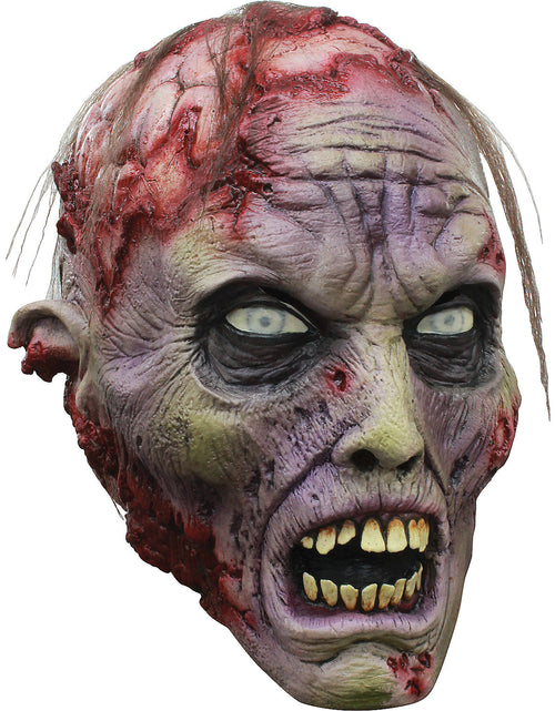 Load image into Gallery viewer, Zombie mask tb26461
