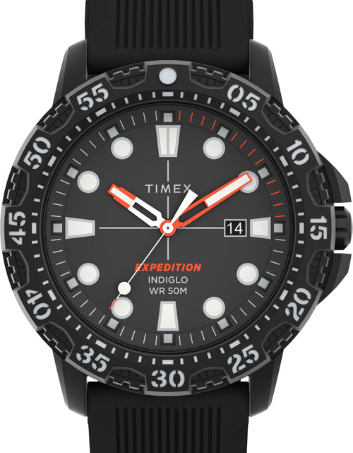 Load image into Gallery viewer, Timex Expedition Gallatin Quartz Sport Watch

